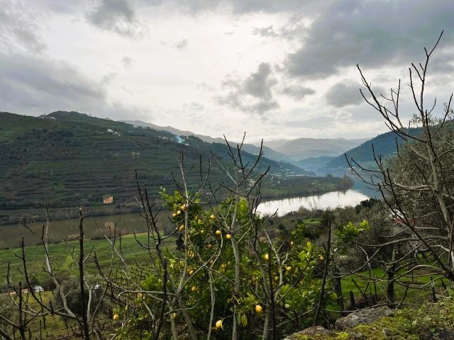 Douro vallei