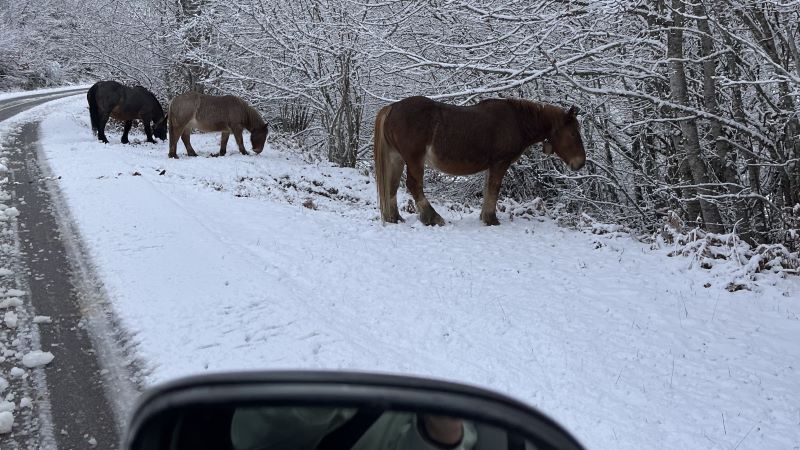 Spaans winterwonderland