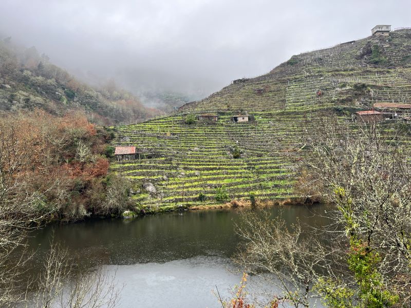 Ribeira Sacra