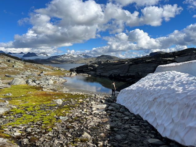 de Scenic Route Sognefjellet (Road 55