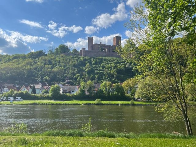 Wertheim am Main