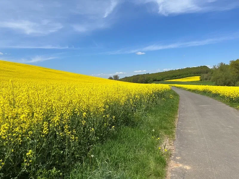 Uitzicht in Wertheim