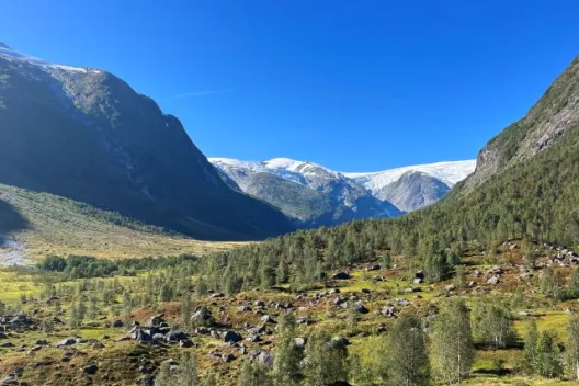 Gletsjer-Veitastrond